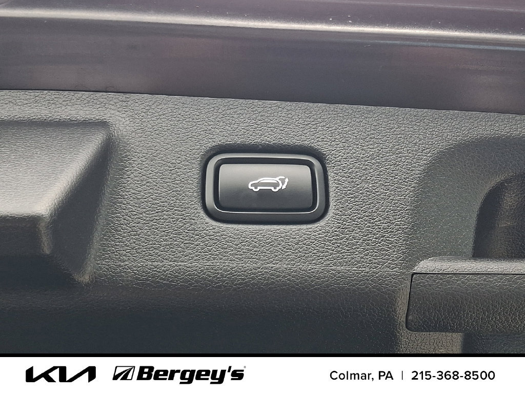 Used 2025 Hyundai Palisade Calligraphy AWD/4WD image 35