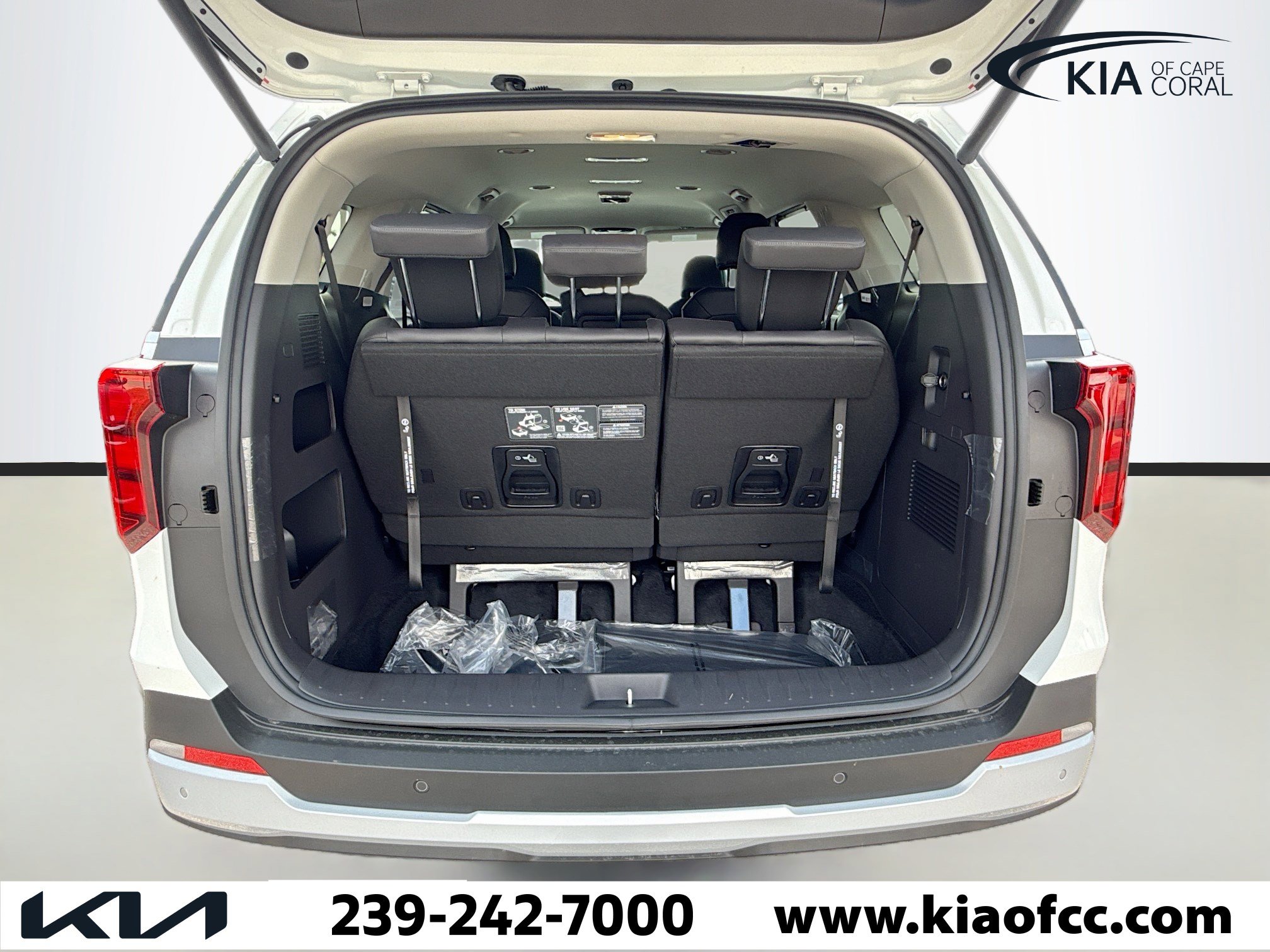 New 2026 Kia Carnival EX image 11