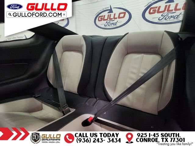 Used 2019 Ford Mustang GT image 13