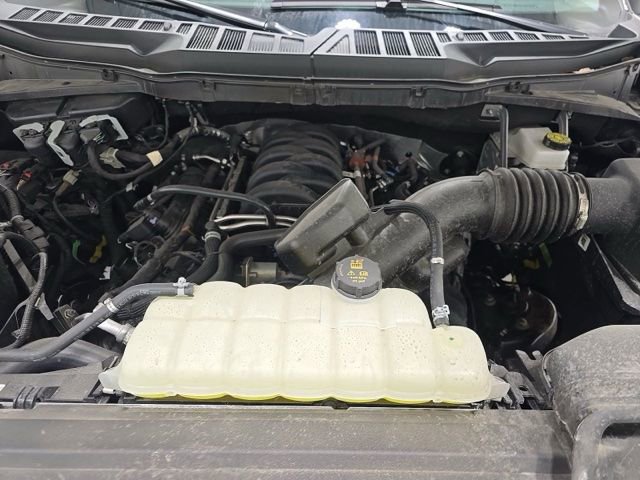 Used 2025 Ford F150 XLT w/ Equipment Group 301A Standard AWD/4WD image 16