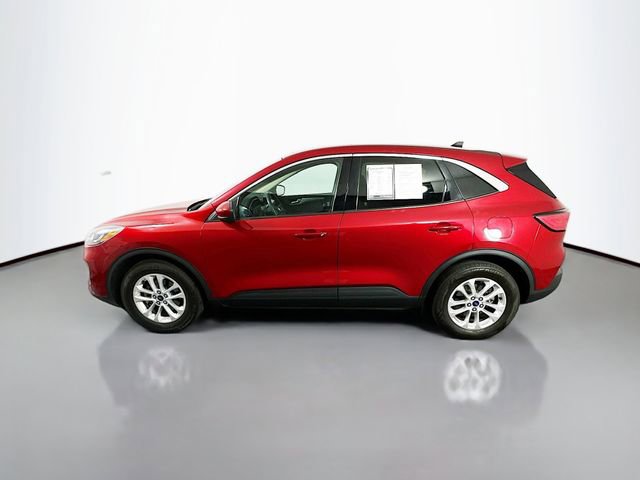 Used 2020 Ford Escape SE FWD image 4