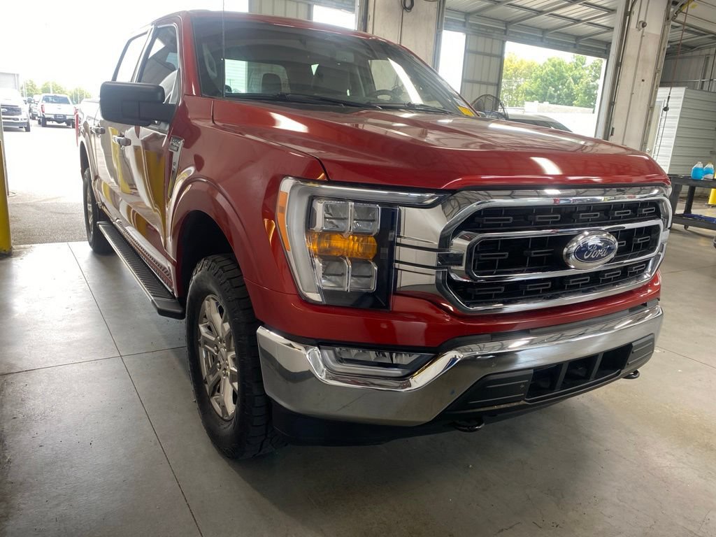 Used 2023 Ford F150 XLT w/ Equipment Group 302A High AWD/4WD image 1