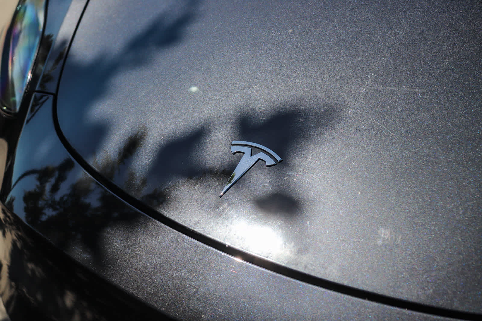 Used 2025 Tesla Model Y Long Range RWD image 11