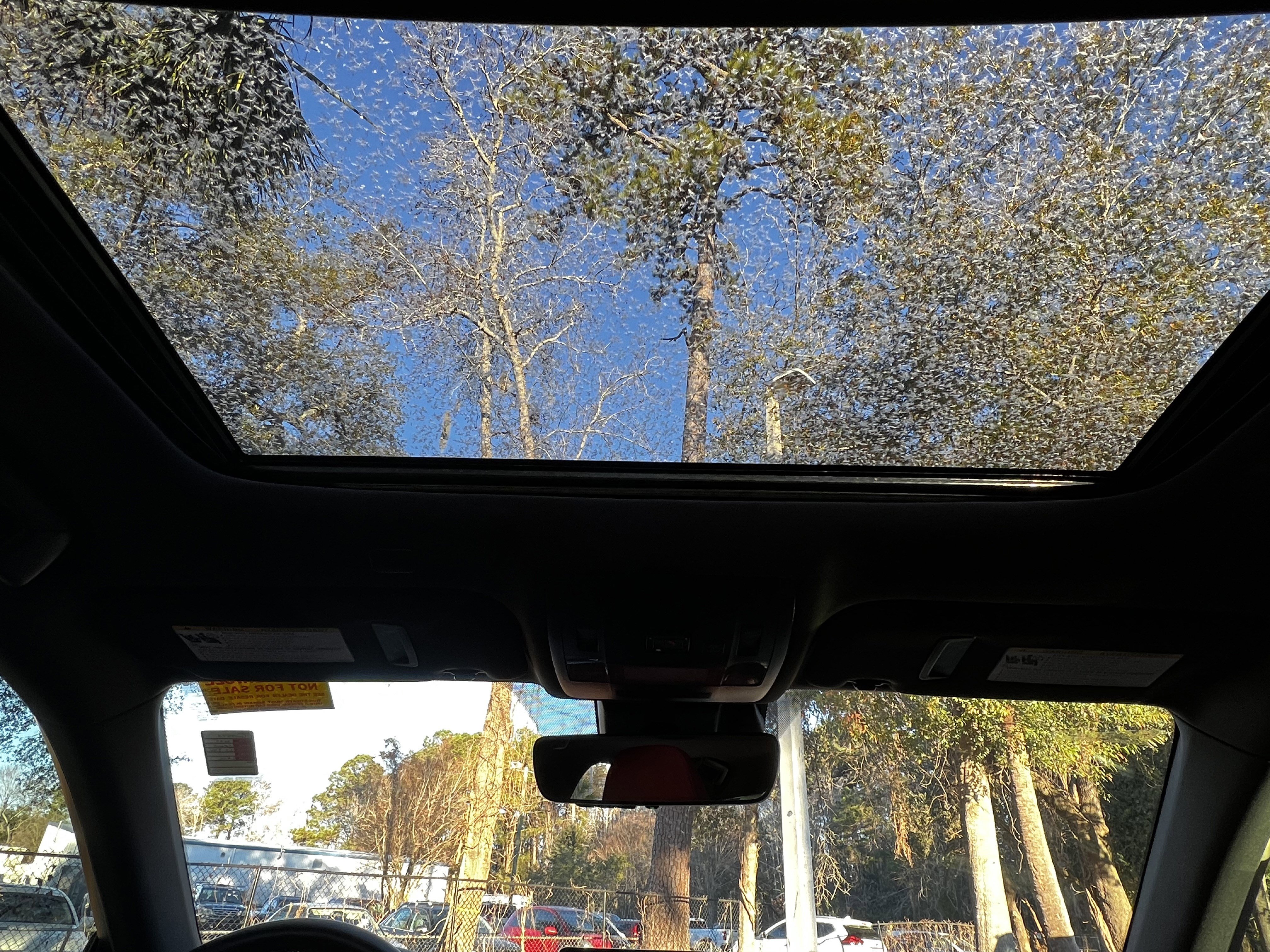 Certified 2025 Lexus IS 350 F Sport image 37