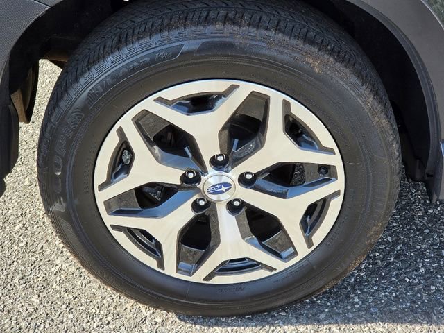 Used 2024 Subaru Forester Premium image 12