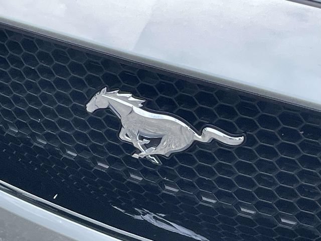 Used 2020 Ford Mustang GT Premium w/ Equipment Group 401A RWD image 8