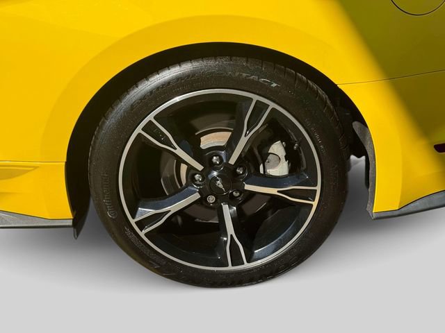 Used 2017 Ford Mustang GT Premium w/ Equipment Group 401A image 10