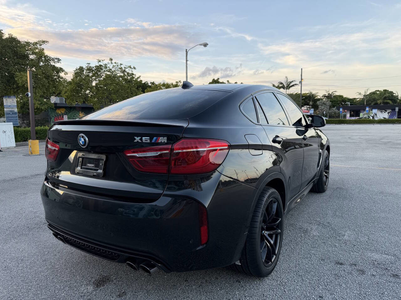 Used 2016 BMW X6 M Base AWD 4dr SUV image 8