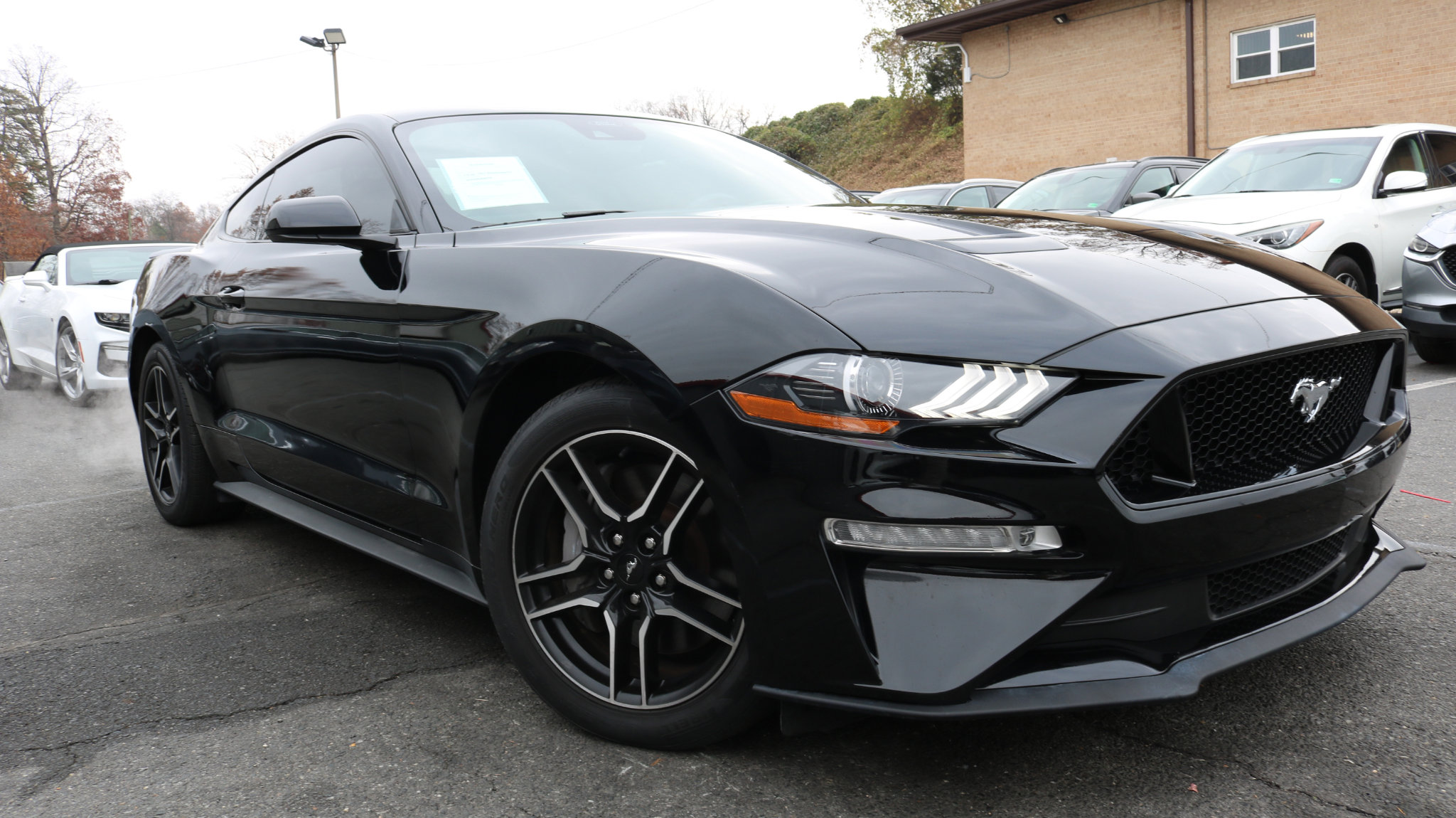 Used 2023 Ford Mustang GT Premium image 3