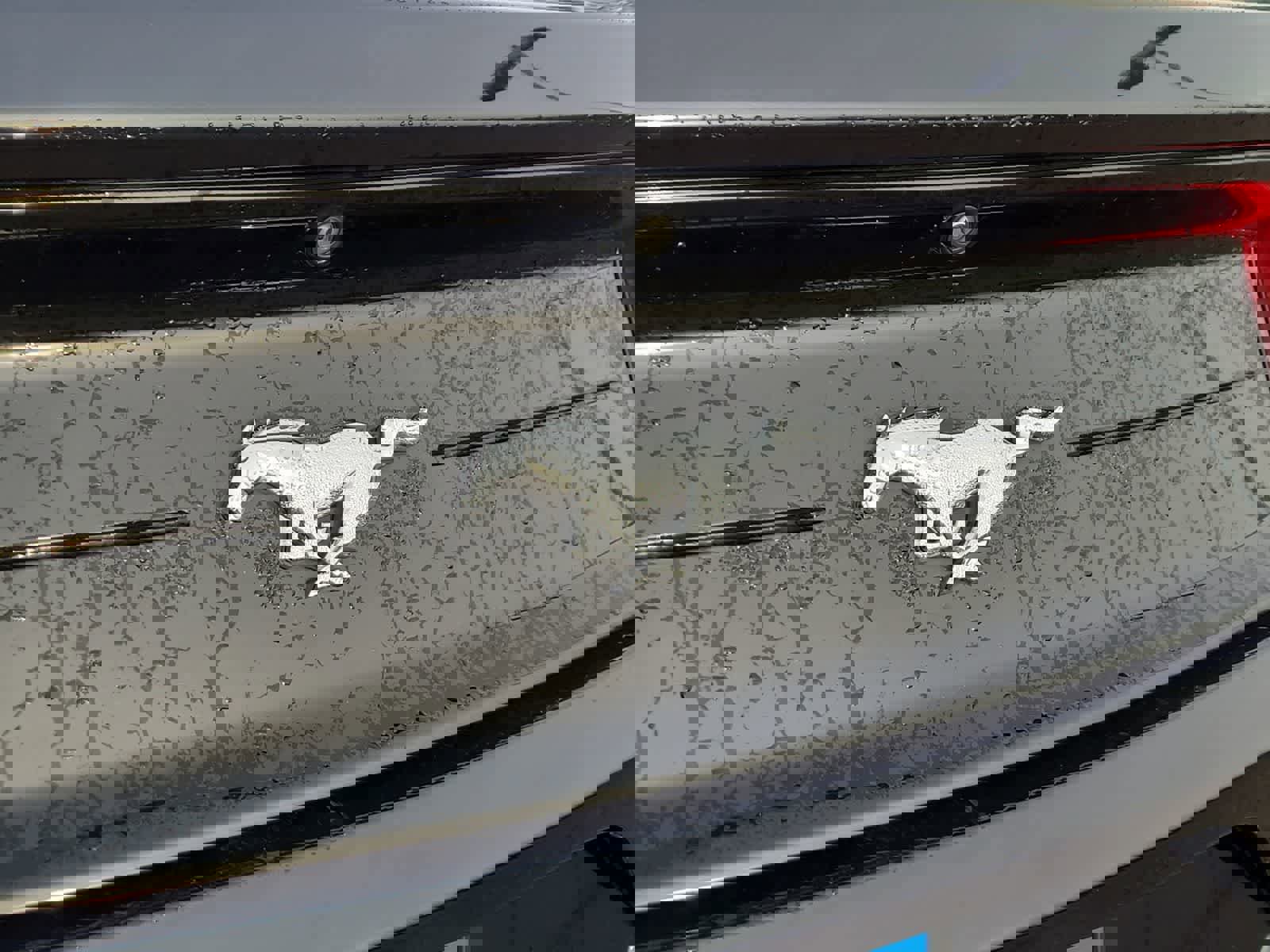 Used 2021 Ford Mustang Coupe w/ Equipment Group 101A image 15