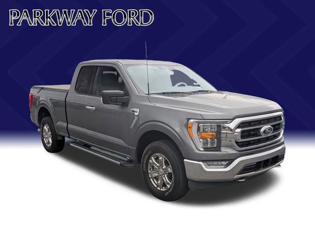 Used 2021 Ford F150 XLT w/ Equipment Group 302A High image 3