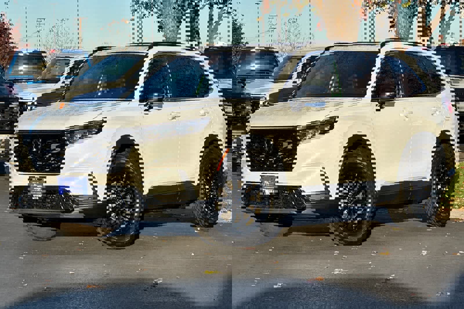 Used 2025 Honda CR-V Sport-L