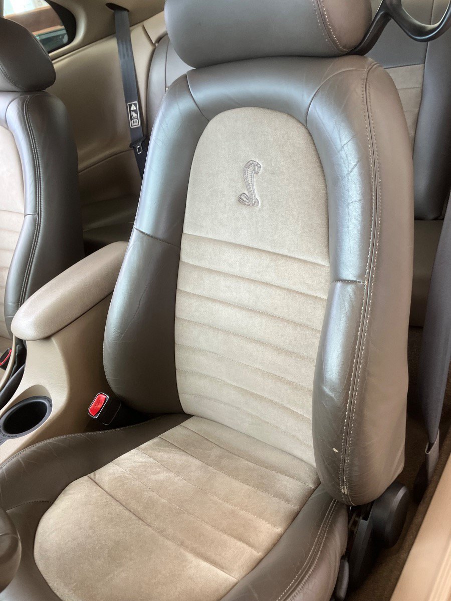Used 2001 Ford Mustang Cobra RWD image 11