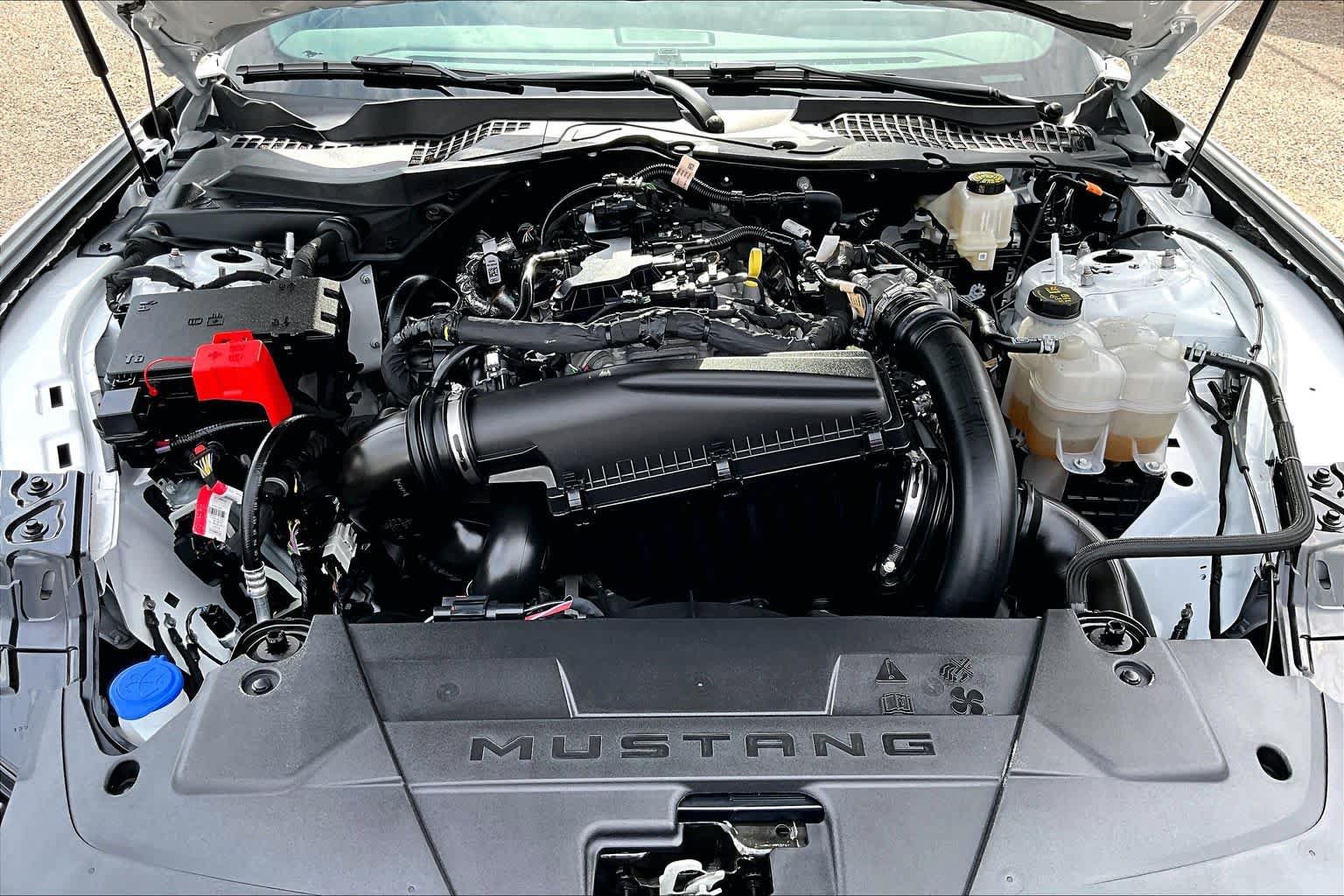 Used 2025 Ford Mustang Coupe RWD image 32