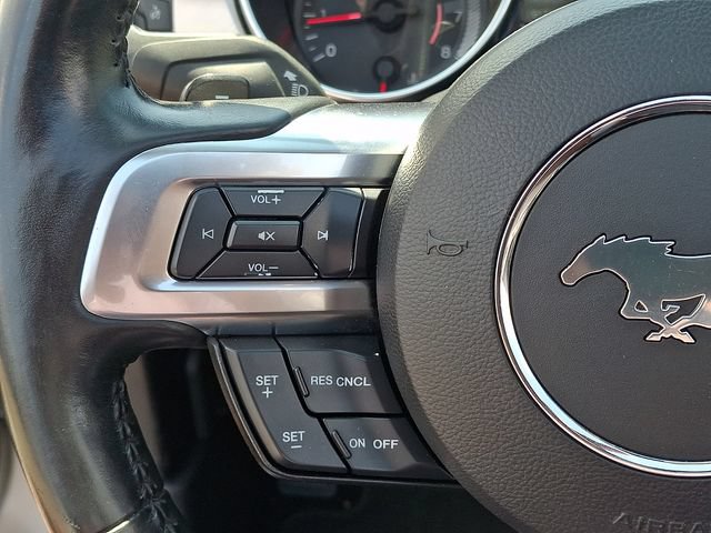 Used 2019 Ford Mustang Premium RWD image 17