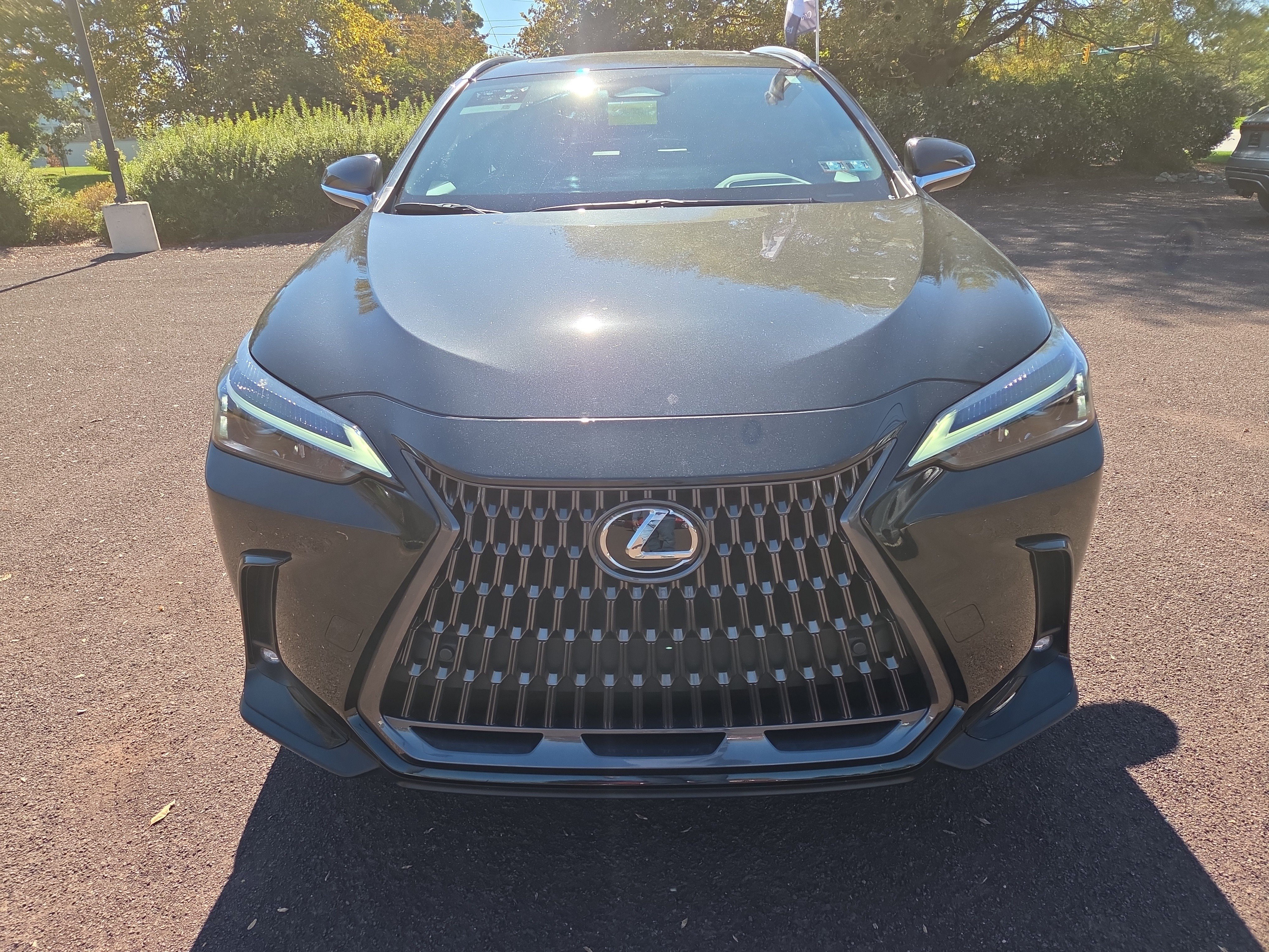 Certified 2024 Lexus NX 250 FWD image 8