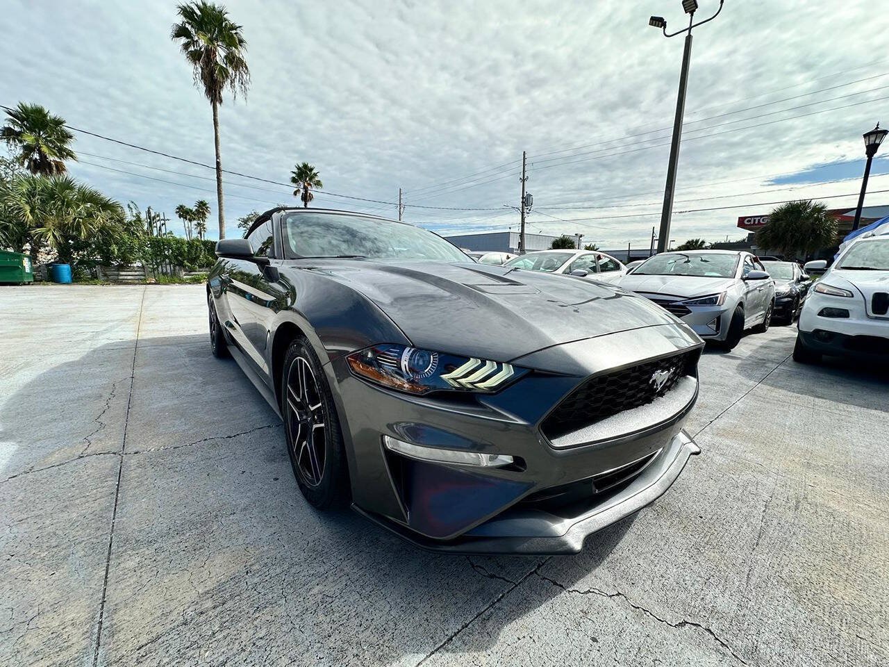 Used 2019 Ford Mustang Premium RWD image 2