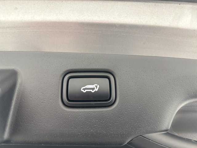 Certified 2024 Kia Niro Wind w/ Wind Preserve Package FWD image 29