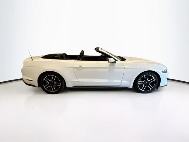 Used 2021 Ford Mustang Premium image 9