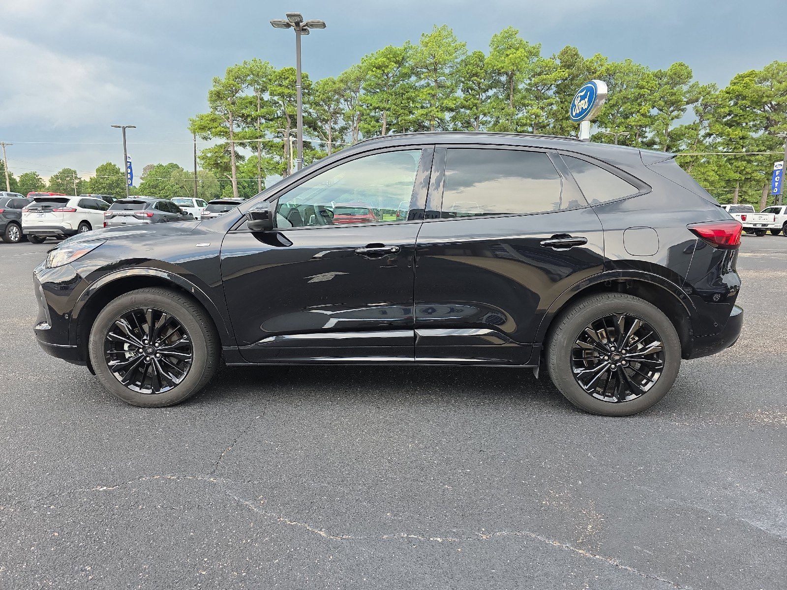 Used 2024 Ford Escape ST-Line Elite w/ Premium Technology Package image 6