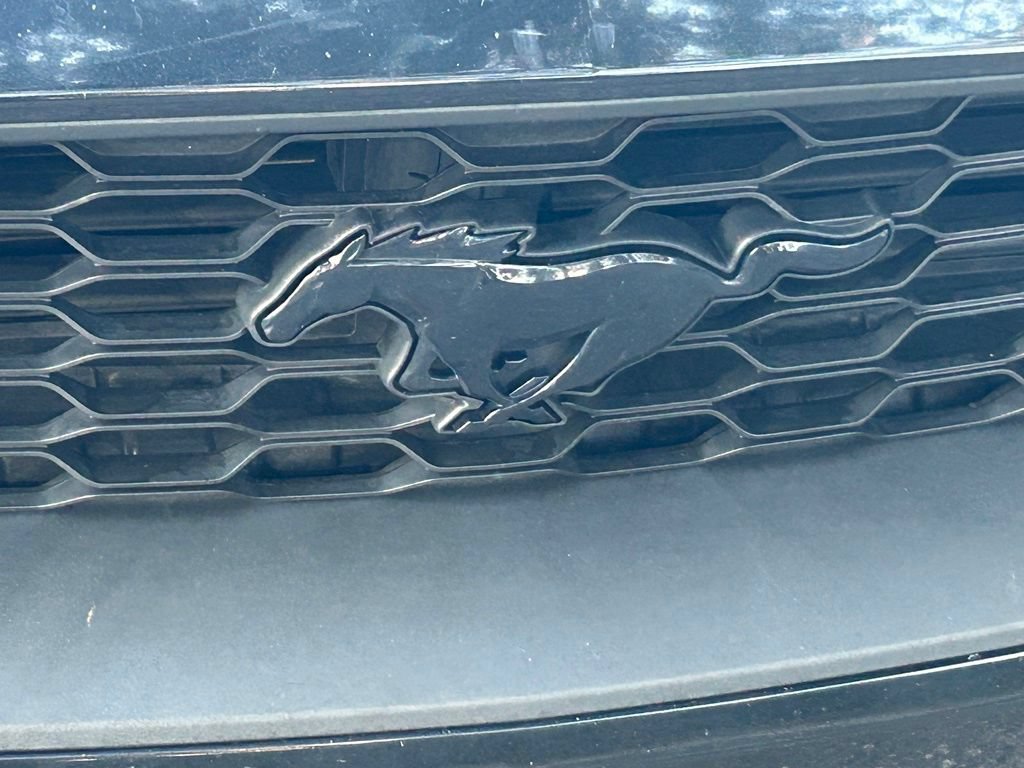 Certified 2019 Ford Mustang Premium w/ Equipment Group 201A RWD image 19