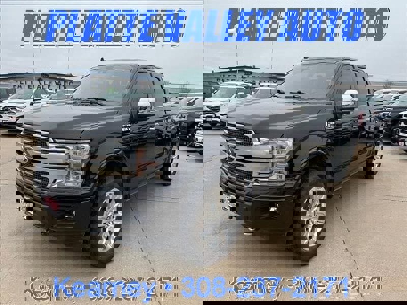 Used 2019 Ford F150 Platinum w/ Equipment Group 701A Luxury image 1