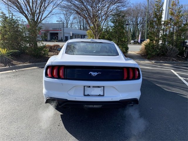 Used 2023 Ford Mustang Coupe w/ Equipment Group 101A image 7