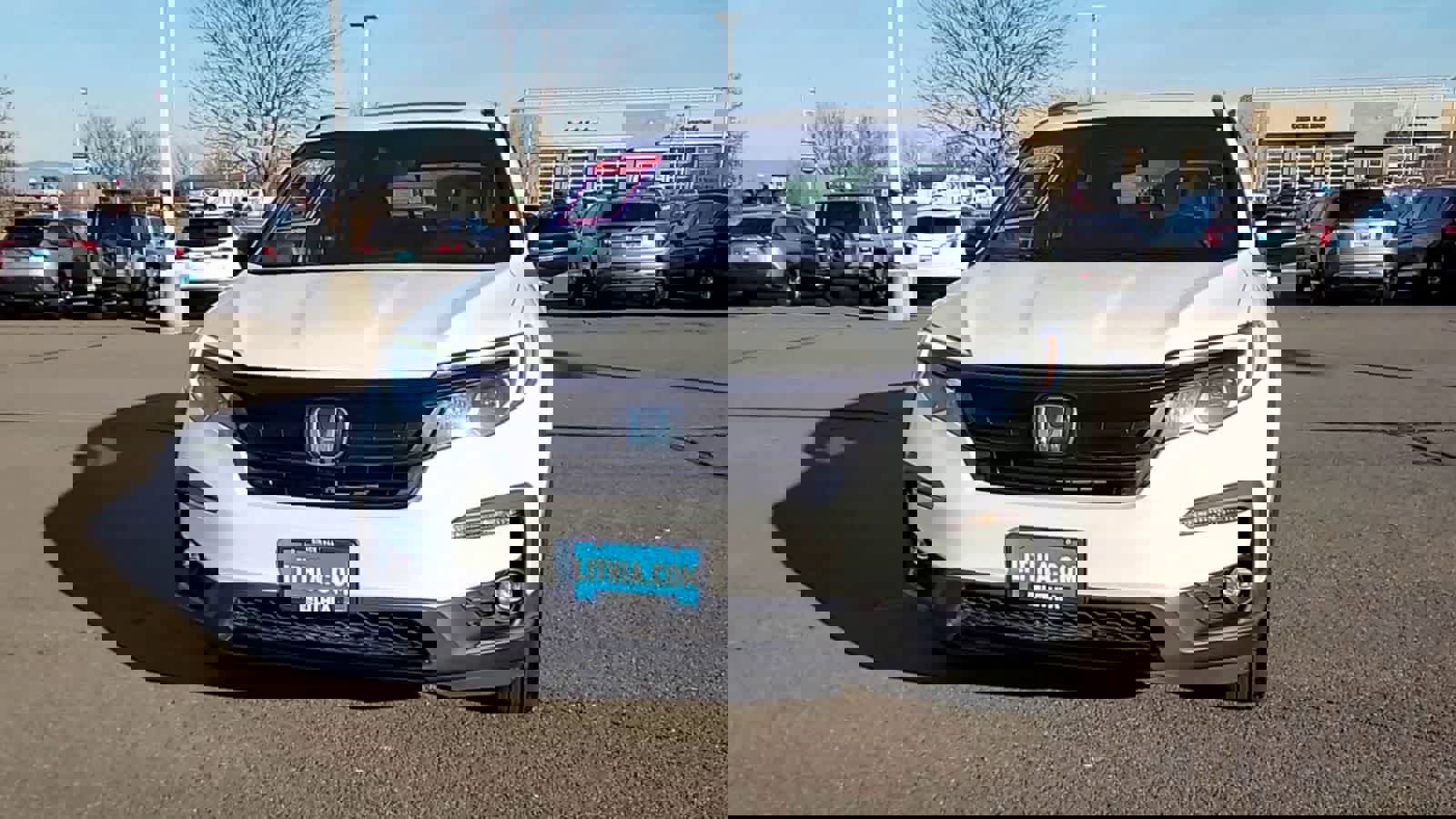 Used 2022 Honda Pilot TrailSport image 3