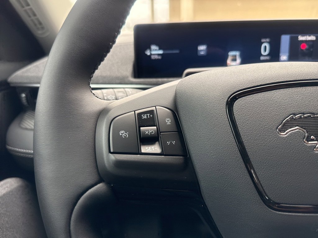 New 2025 Ford Mustang Mach-E Premium w/ Interior Protection Package image 19