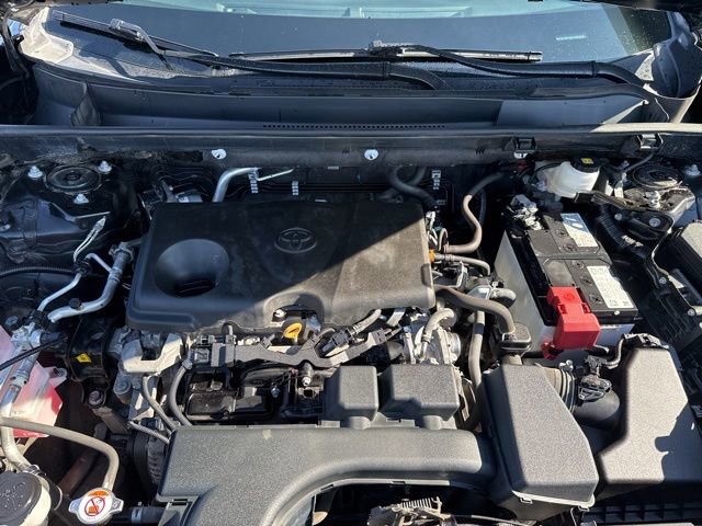 Used 2023 Toyota RAV4 LE image 12