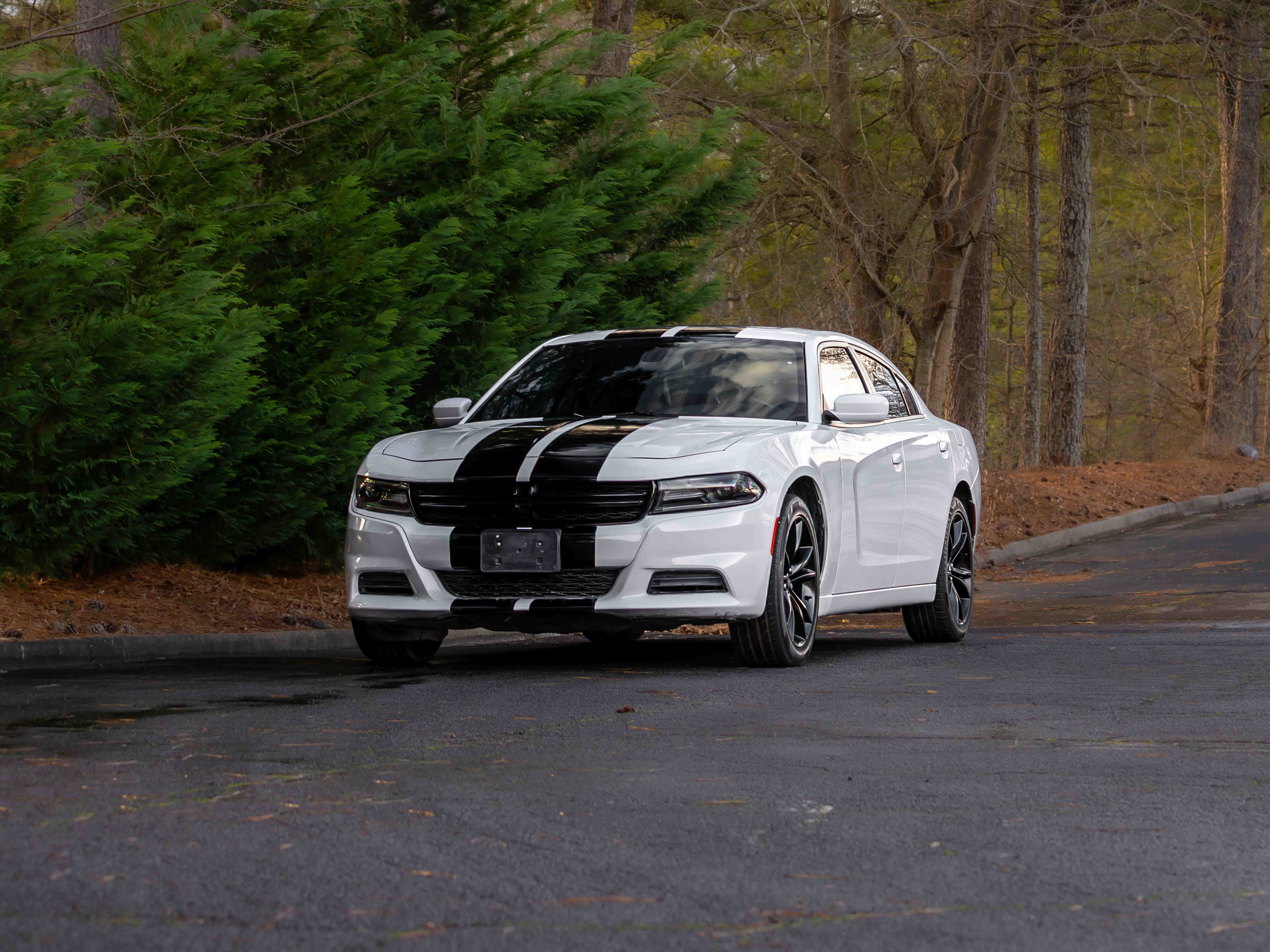 Used 2019 Dodge Charger SXT w/ Leather Interior Group image 44
