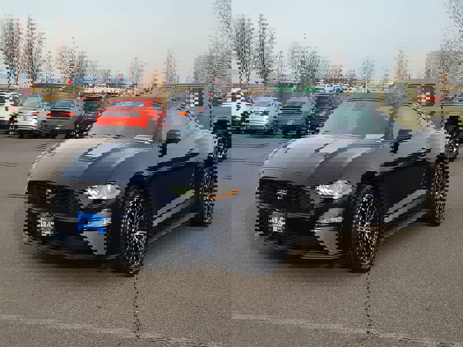 Used 2021 Ford Mustang Coupe w/ Equipment Group 101A