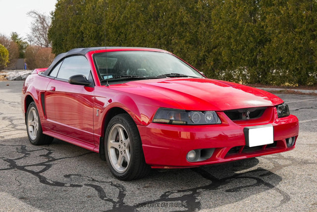 Used 1999 Ford Mustang Cobra RWD image 17