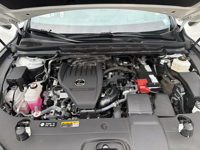 Used 2023 Lexus RX 350 AWD w/ Cold Area Package image 12