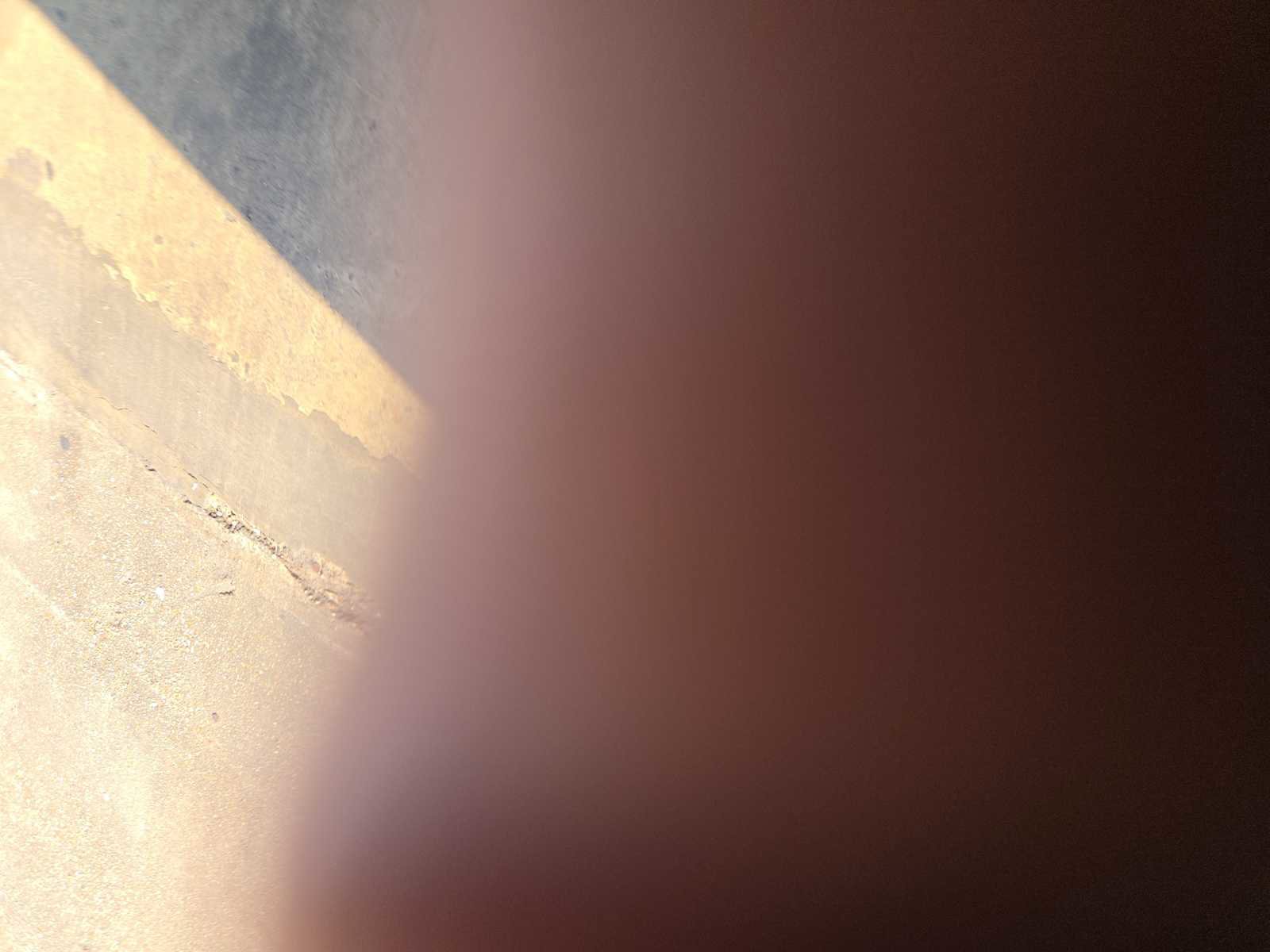 Used 2023 Dodge Charger Scat Pack w/ Daytona Edition Group image 11