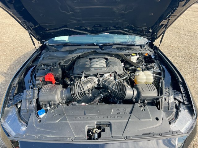 Used 2024 Ford Mustang GT Premium RWD image 19