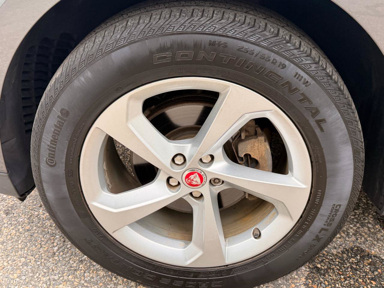 Used 2019 Jaguar F-PACE Premium AWD/4WD image 12