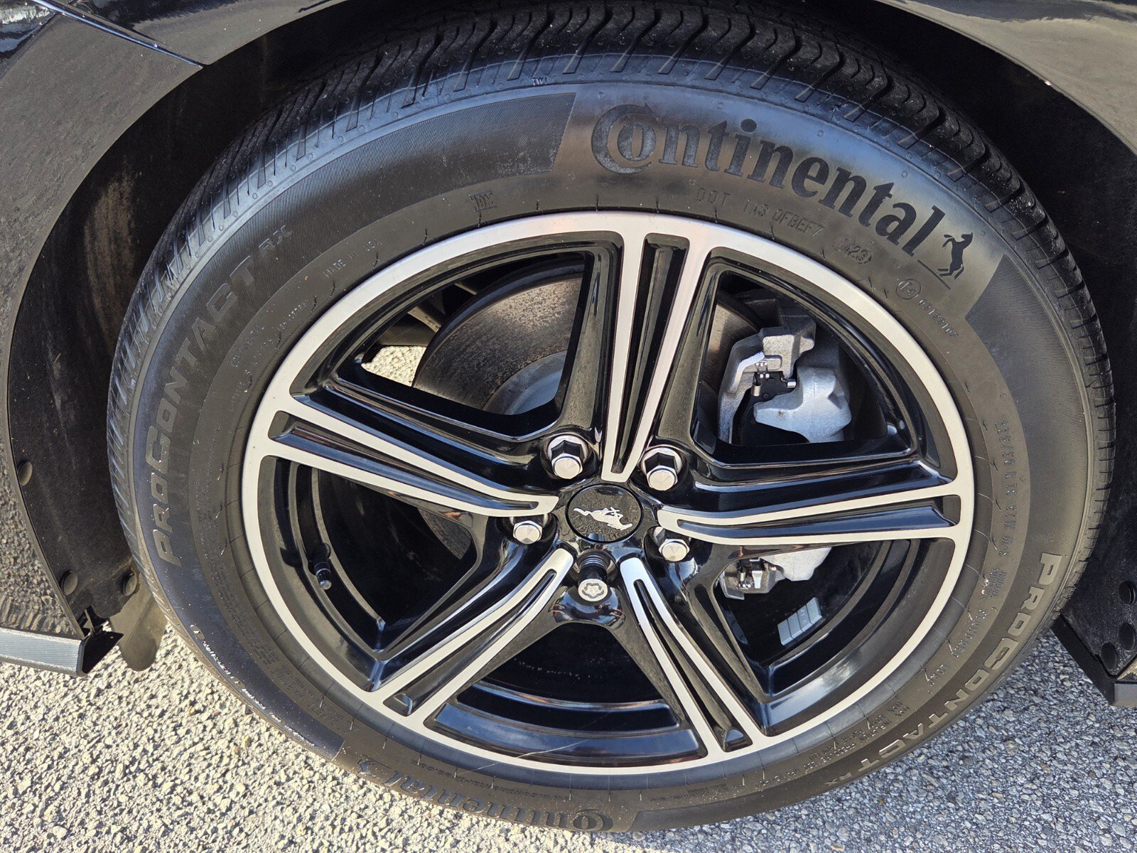 Used 2024 Ford Mustang Premium RWD image 11