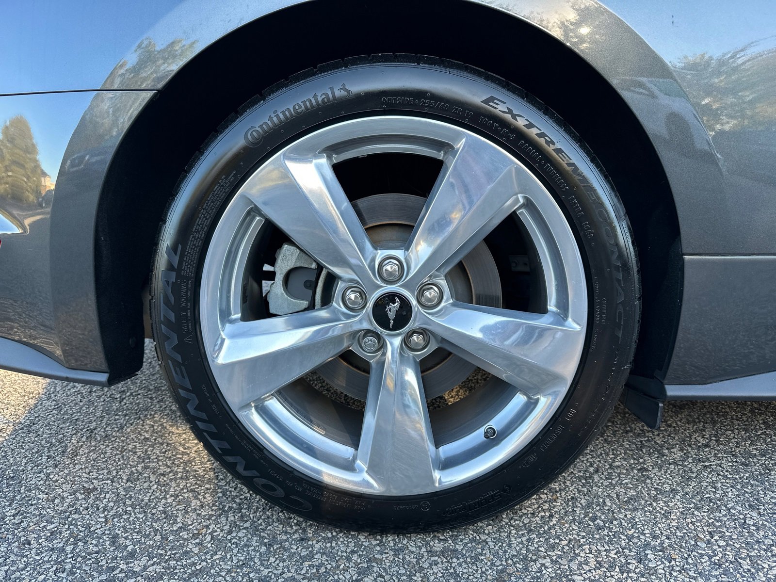 Used 2019 Ford Mustang GT Premium w/ Equipment Group 401A image 16