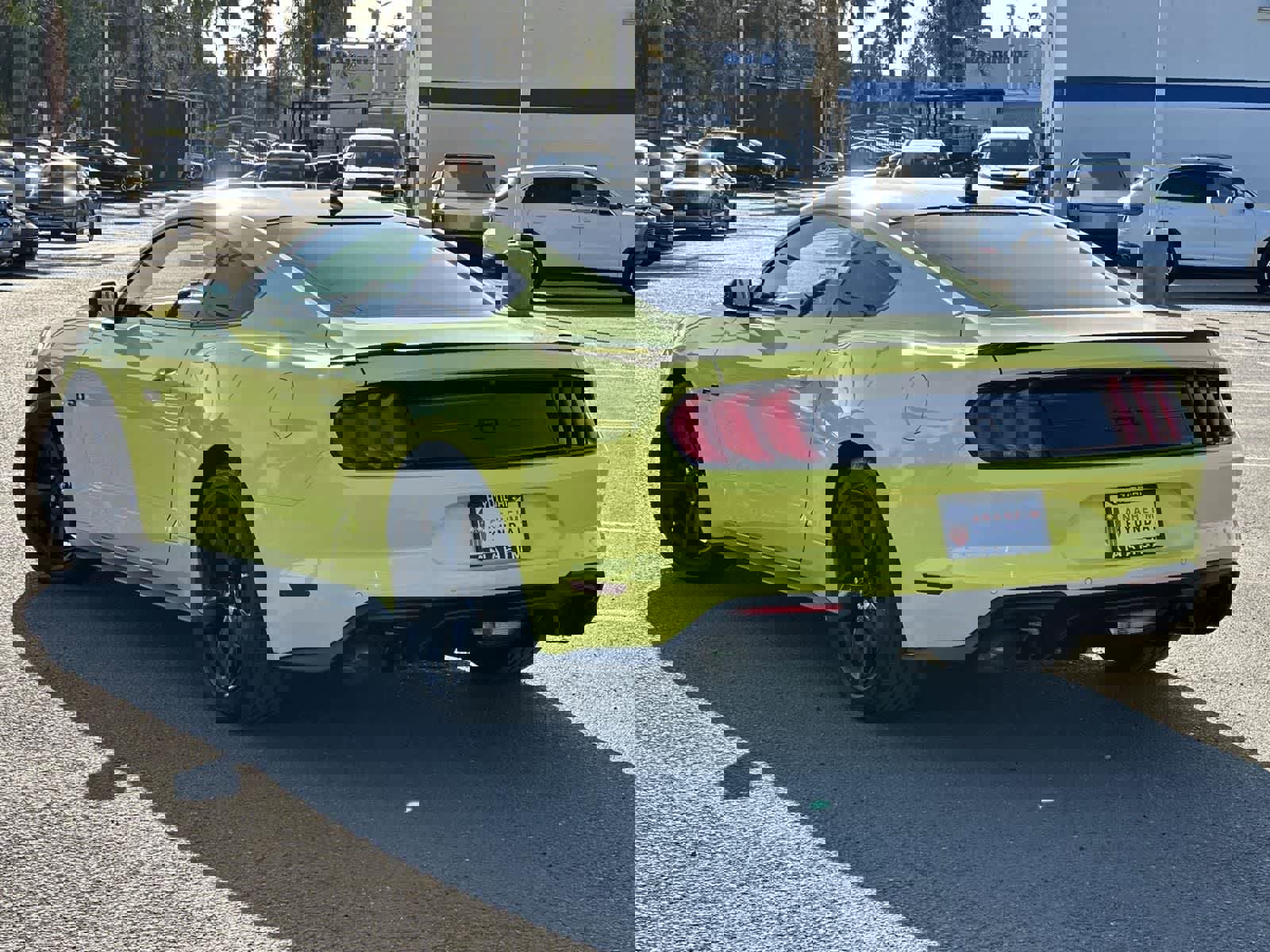 Used 2021 Ford Mustang GT w/ Black Accent Package image 5