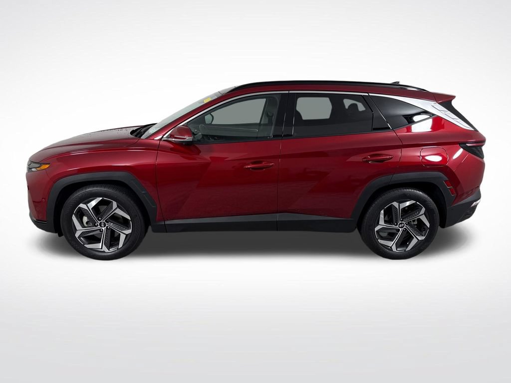 Certified 2024 Hyundai Tucson Limited FWD image 8