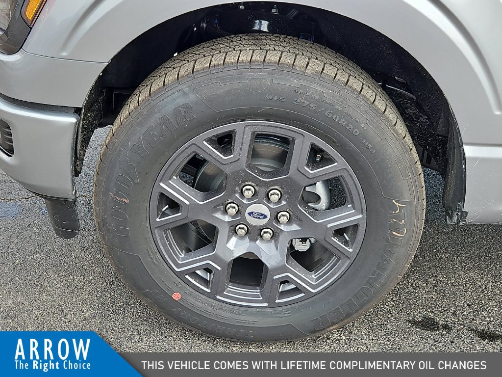 New 2026 Ford F150 STX w/ Equipment Group 200A RWD image 17