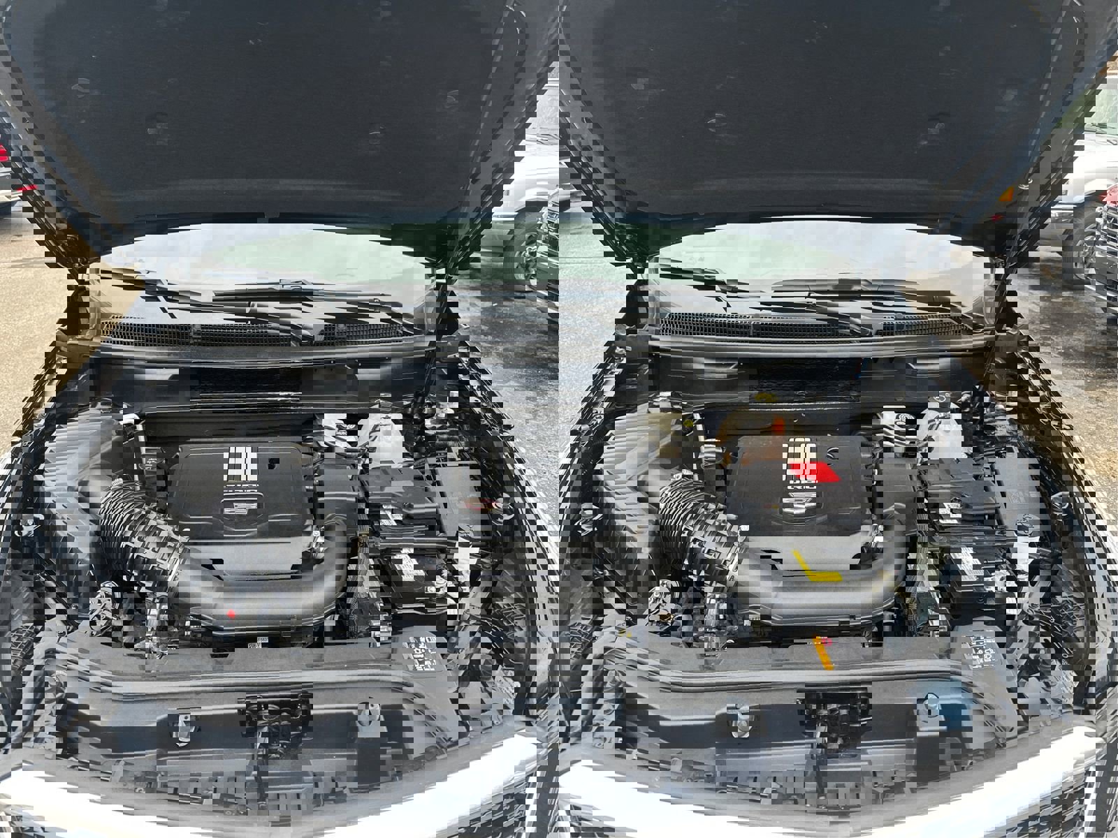 New 2024 Cadillac XT5 Luxury image 11