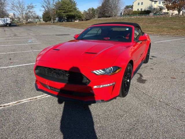 Certified 2019 Ford Mustang Premium w/ Equipment Group 201A image 3