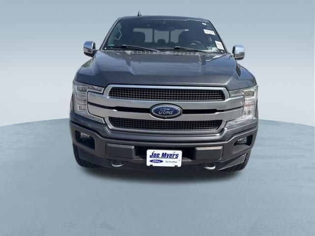 Used 2019 Ford F150 Platinum w/ Equipment Group 701A Luxury image 2