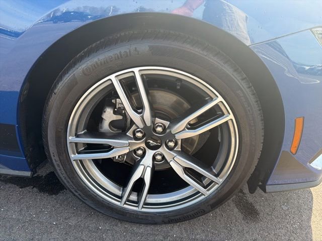Used 2024 Ford Mustang Coupe RWD image 4