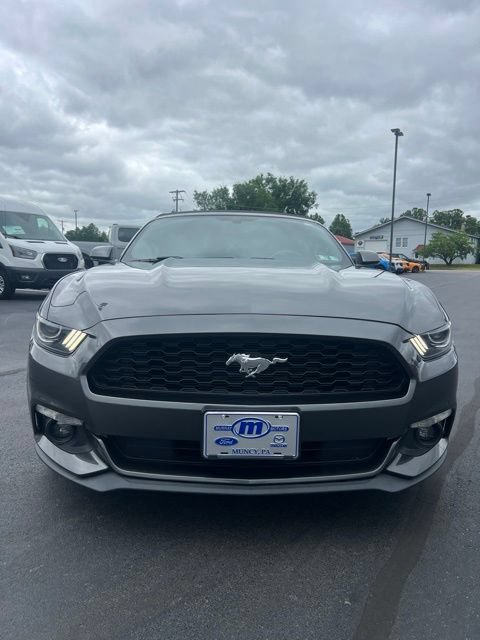 Used 2017 Ford Mustang Convertible w/ Equipment Group 051A RWD image 2