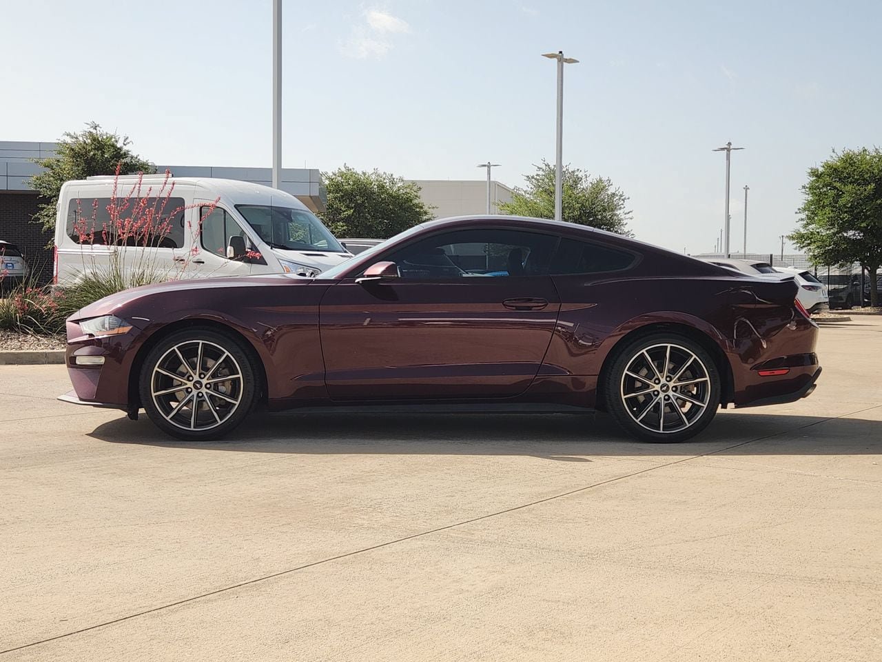 Used 2018 Ford Mustang Premium w/ Wheel & Stripe Package RWD image 4