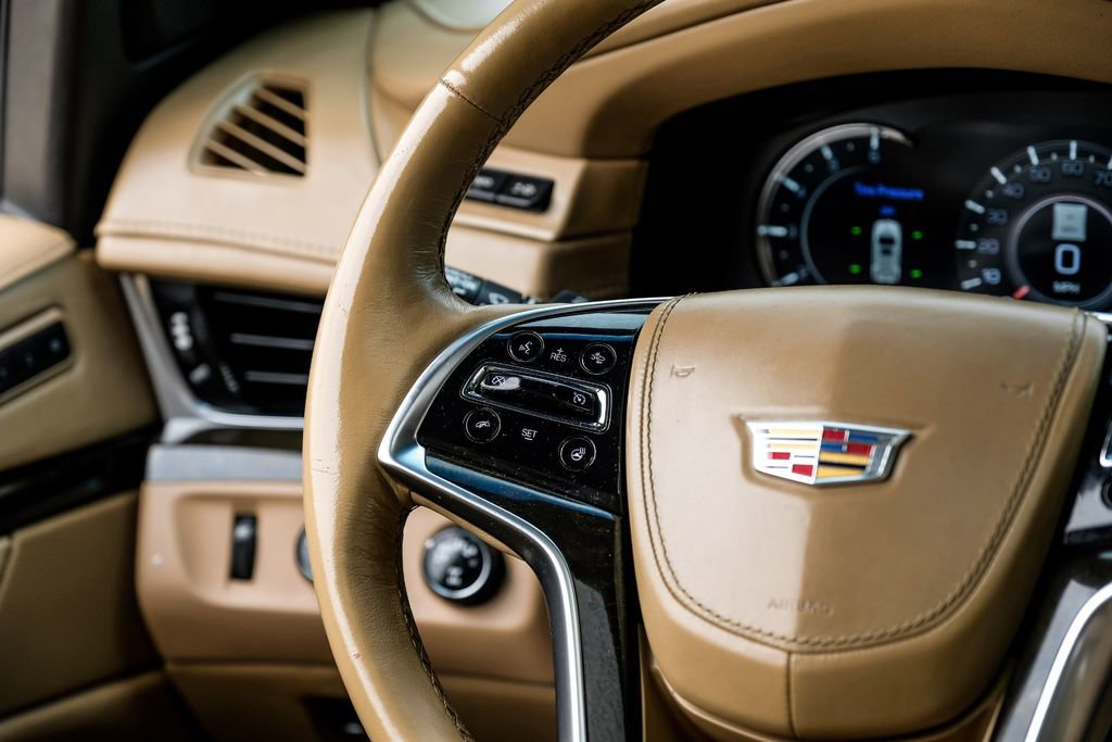 Used 2019 Cadillac Escalade Platinum image 14
