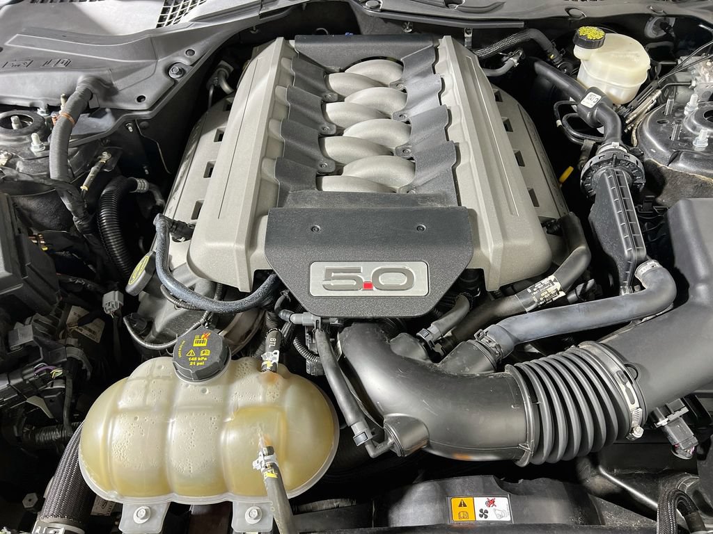 Used 2016 Ford Mustang GT Premium w/ Equipment Group 401A RWD image 24